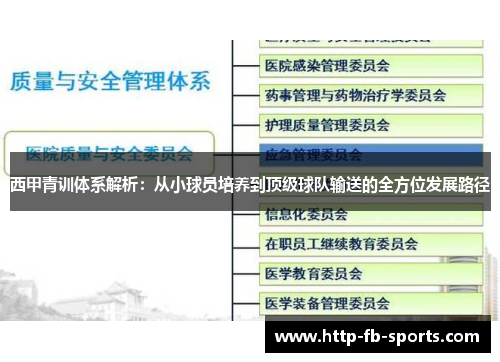 西甲青训体系解析：从小球员培养到顶级球队输送的全方位发展路径